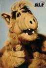 Avatar de l'utilisateur