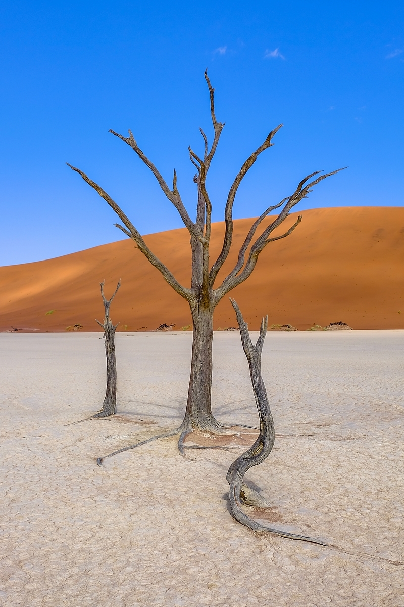 Sossusvlei ... les dunes de Namibie 15265057041386292515