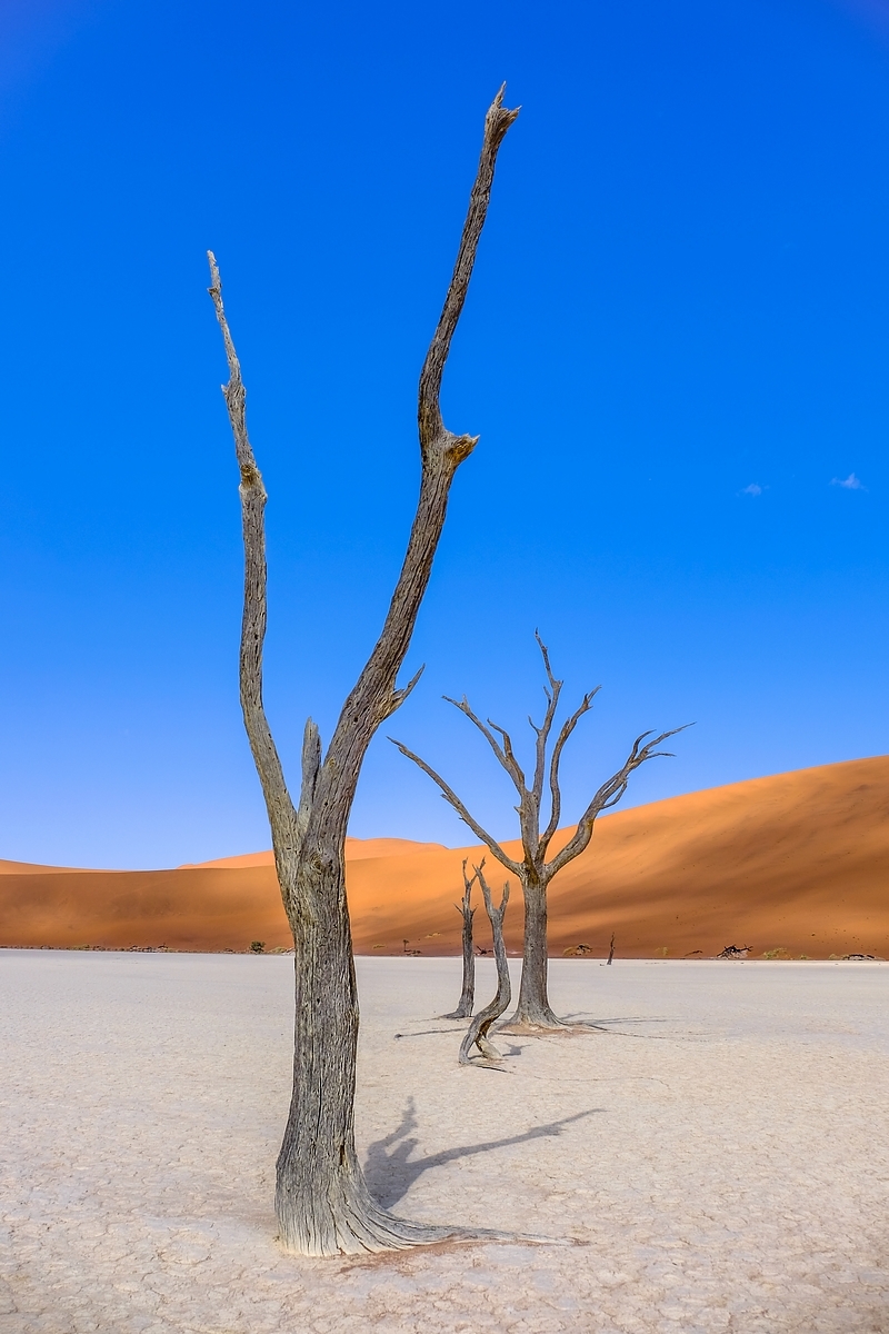 Sossusvlei ... les dunes de Namibie 15265929001689230676