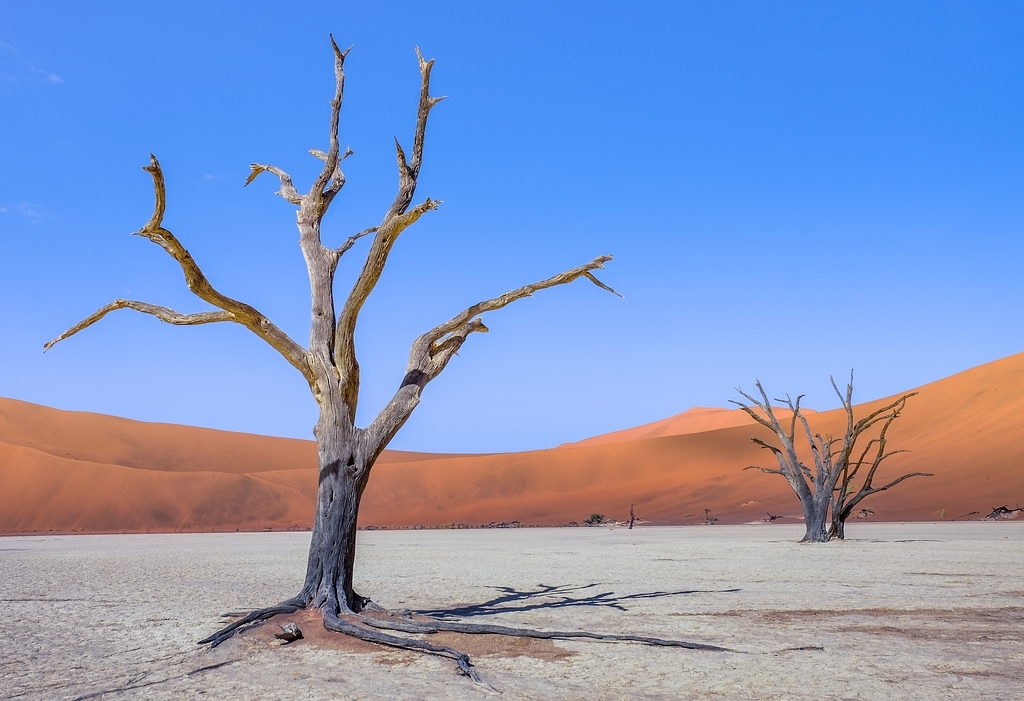 Sossusvlei ... les dunes de Namibie 1526593226757451136