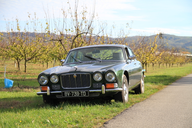 http://www.image-heberg.fr/files/17003283712069797579.jpg