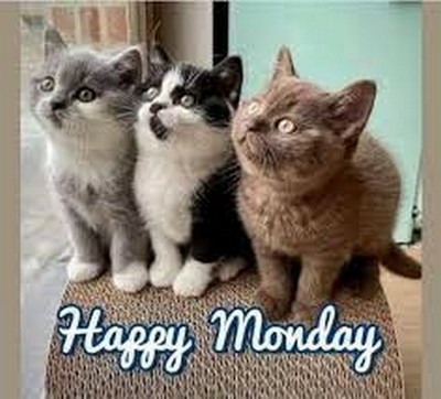 MONDAY lundi 19.jpg