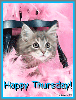 THURSDAY jeudi 7.gif