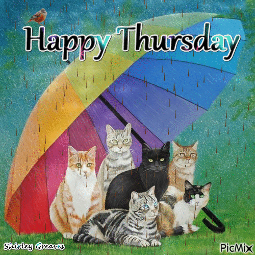 THURSDAY jeudi 15.gif