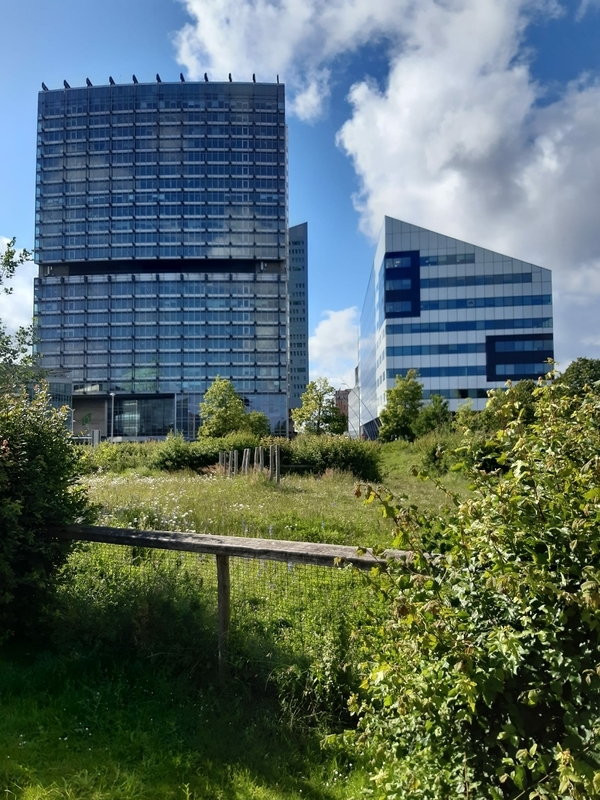 http://www.image-heberg.fr/files/1720018382525193557.jpg