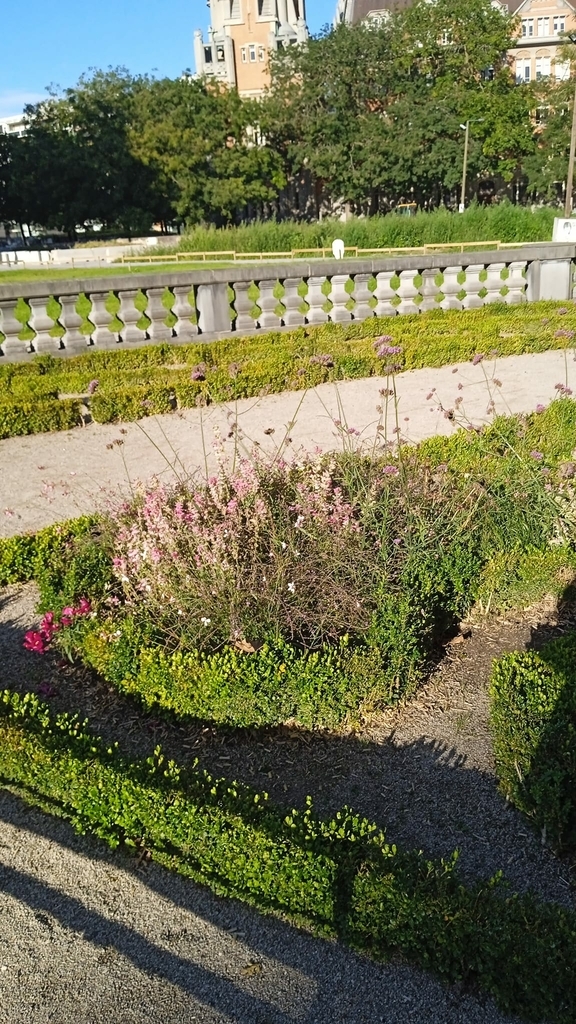 http://www.image-heberg.fr/files/1728317812923324570.jpg