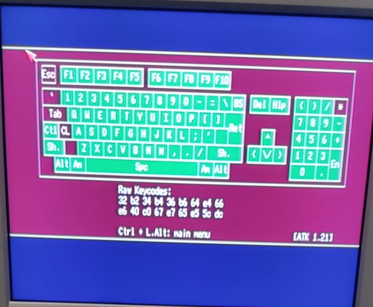 1738496145832-1.jpg