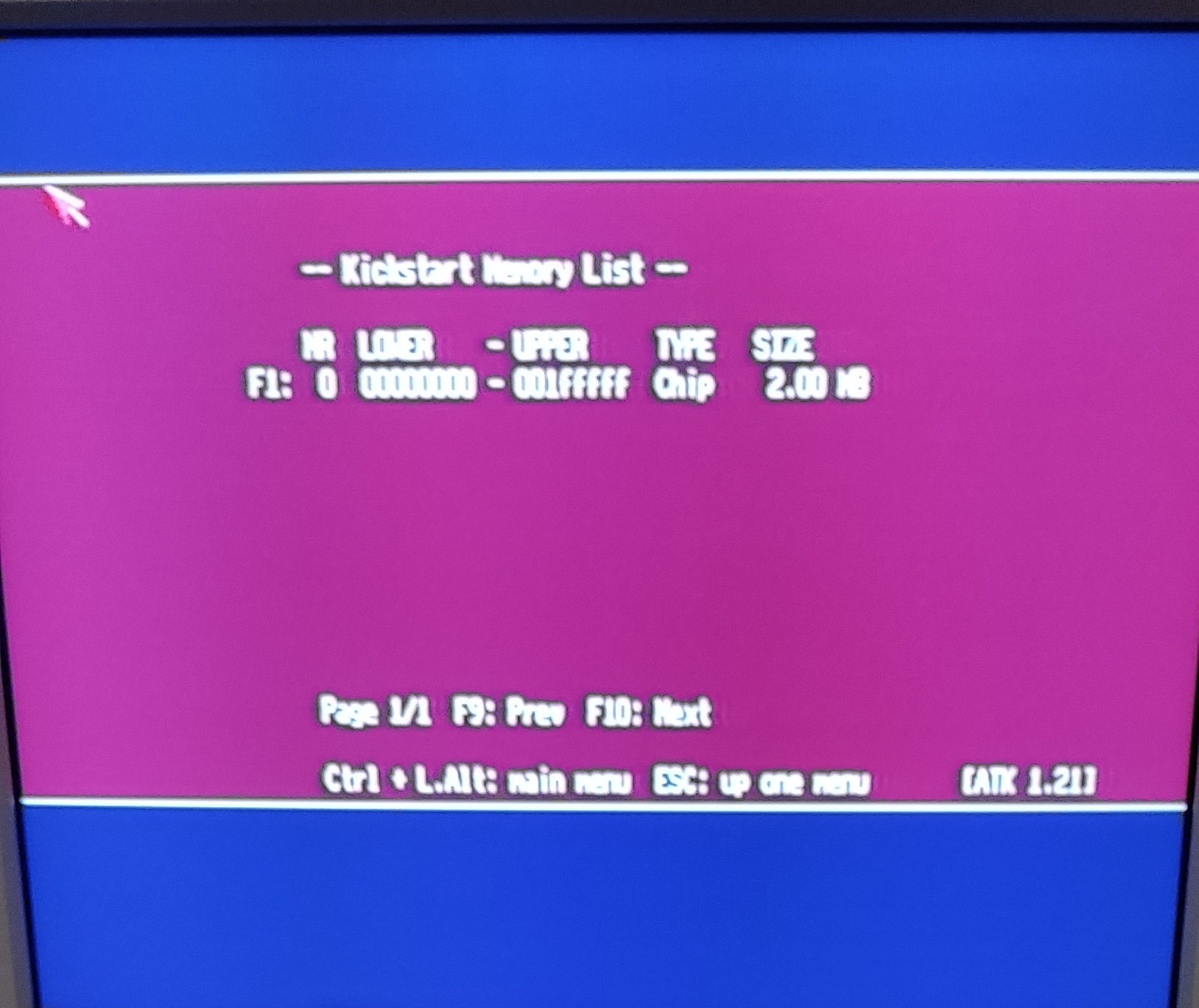 1738496145850-1.jpg