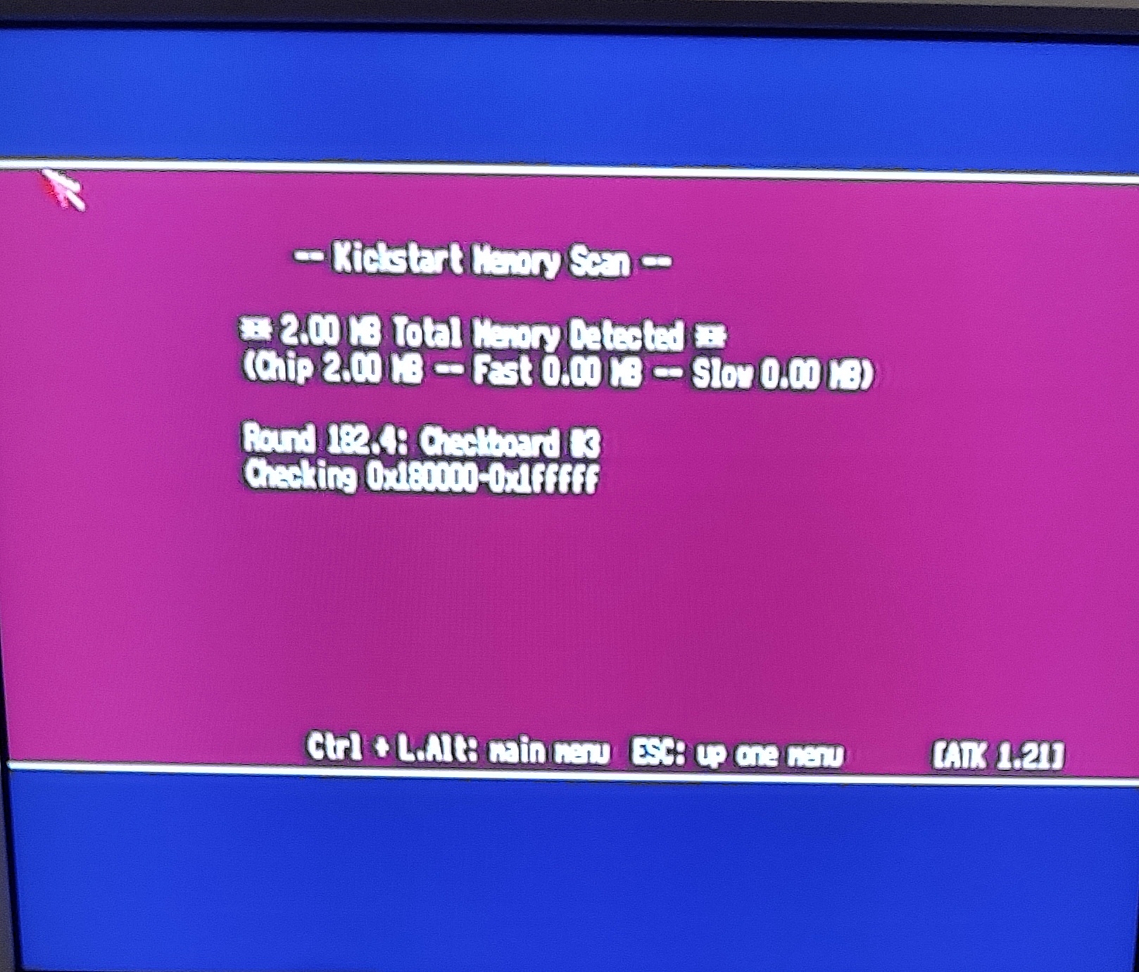 1738496145867-1.jpg