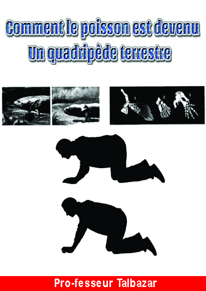 http://www.image-heberg.fr/files/17387453653143821402.jpg