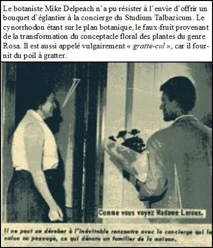 http://www.image-heberg.fr/files/1739944578636732764.jpg