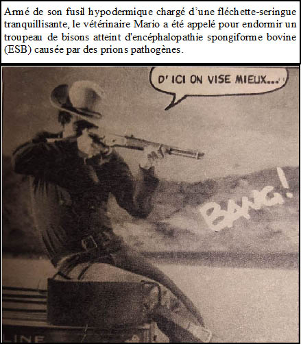 http://www.image-heberg.fr/files/17402867743313881239.jpg