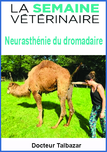 http://www.image-heberg.fr/files/17424531162119667172.jpg