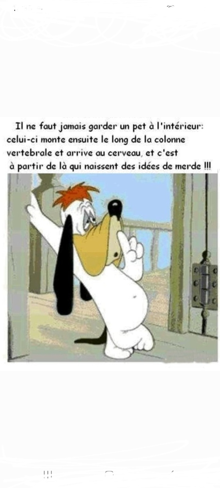 text alternatif