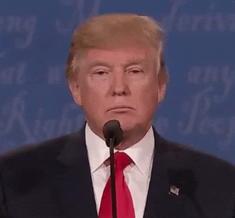 17462573561150325268.gif