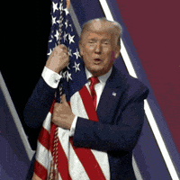17462986043705175409.gif