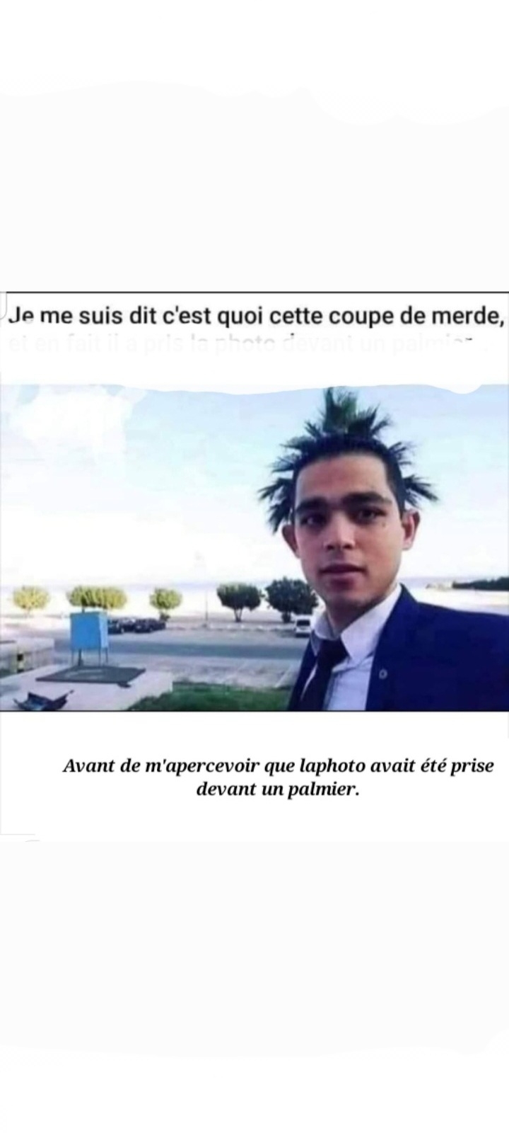 text alternatif