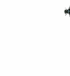 17479401443272117979.gif