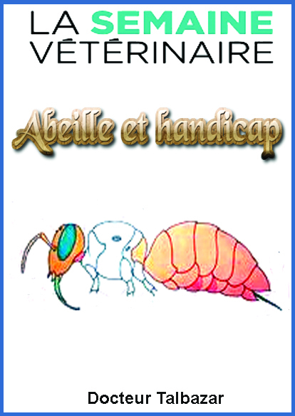 http://www.image-heberg.fr/files/17488457604062807206.jpg