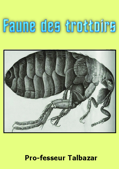 http://www.image-heberg.fr/files/17513427652741434778.jpg
