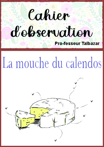 http://www.image-heberg.fr/files/1752737151500919874.jpg