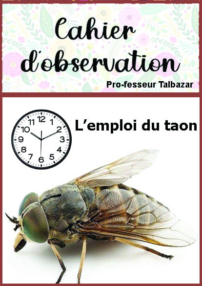 http://www.image-heberg.fr/files/17529900601383907420.jpg