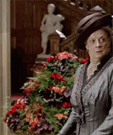 17530897654012668356.gif
