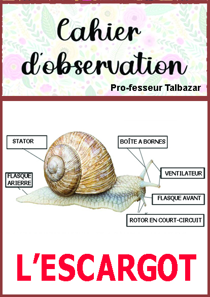 http://www.image-heberg.fr/files/1753422564429384273.jpg