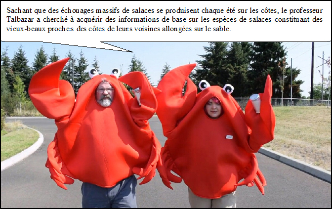 http://www.image-heberg.fr/files/17547282083715288771.jpg
