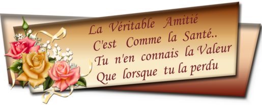 amitié.png
