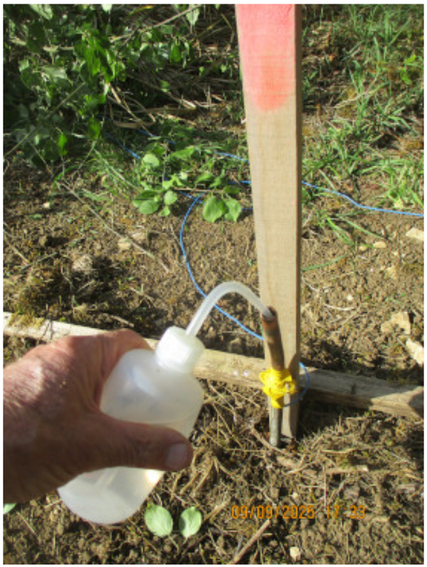 Image de l’article