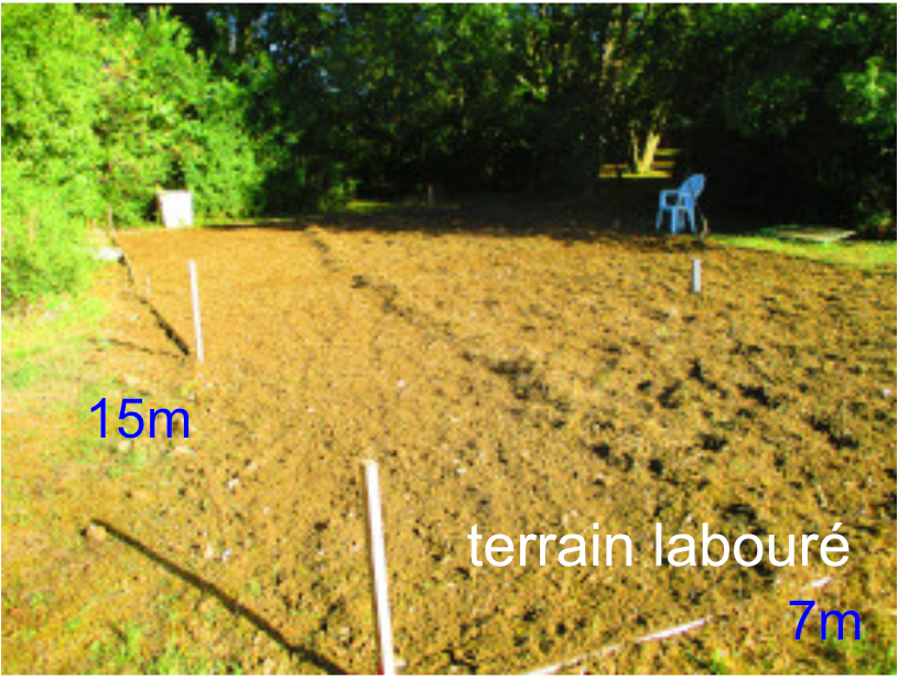TERRAIN LABOURE.jpg