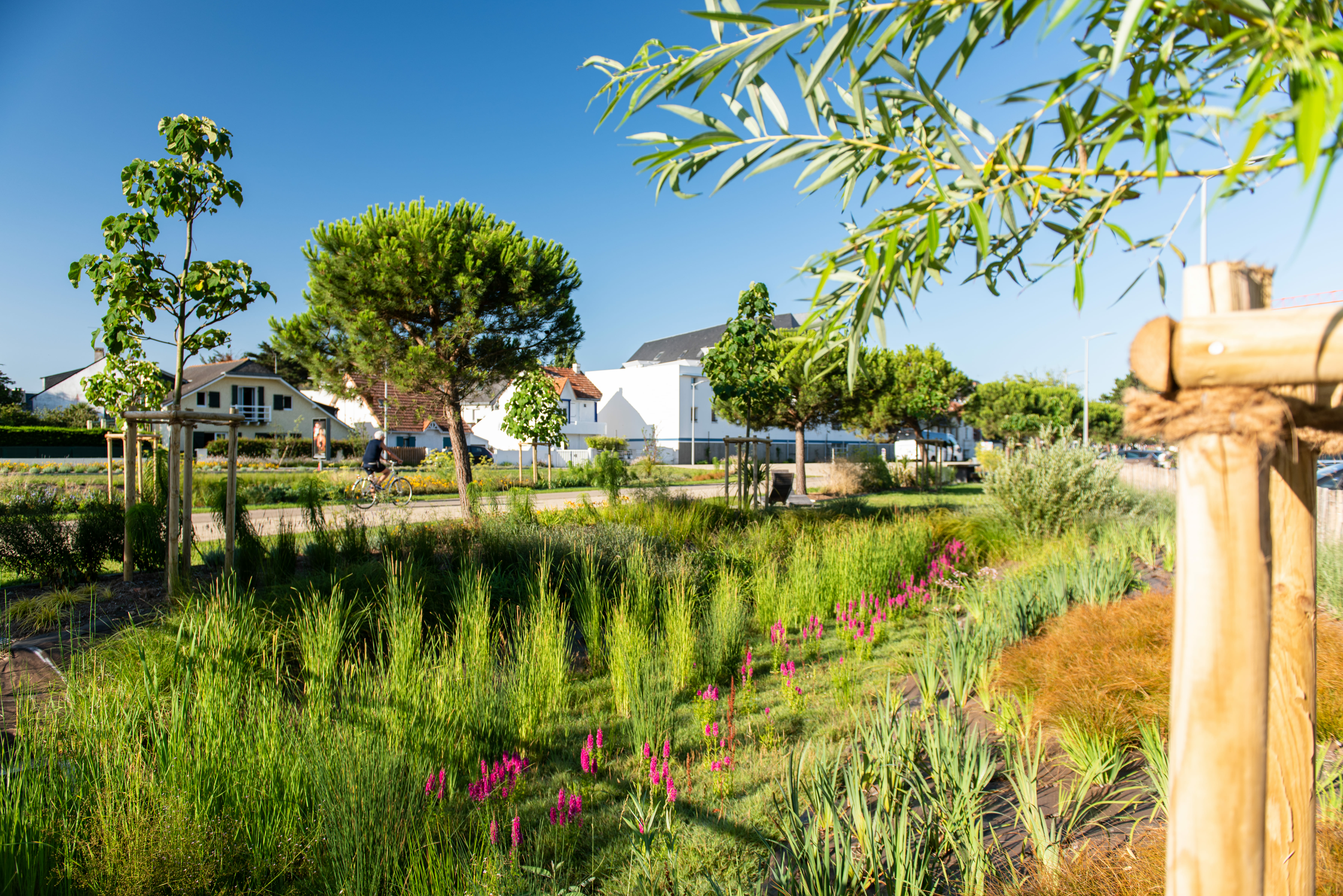 Header page paysage 2 (1) (1).jpg