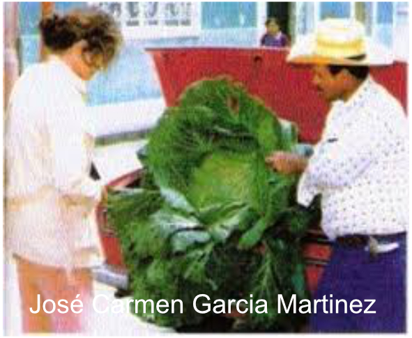 Électroculture illustration