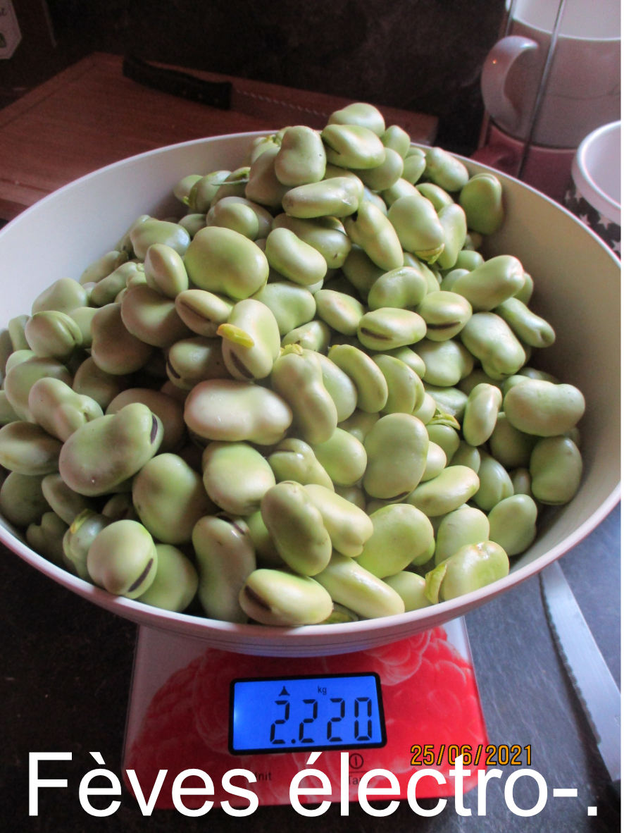 Image de l’article