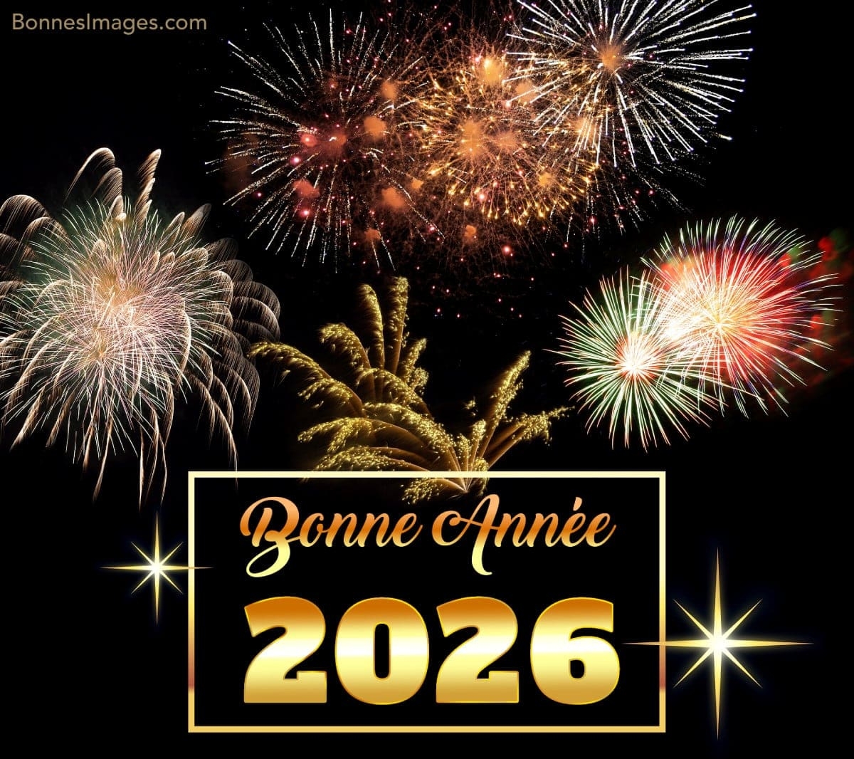 bonne-annee_077h.jpg