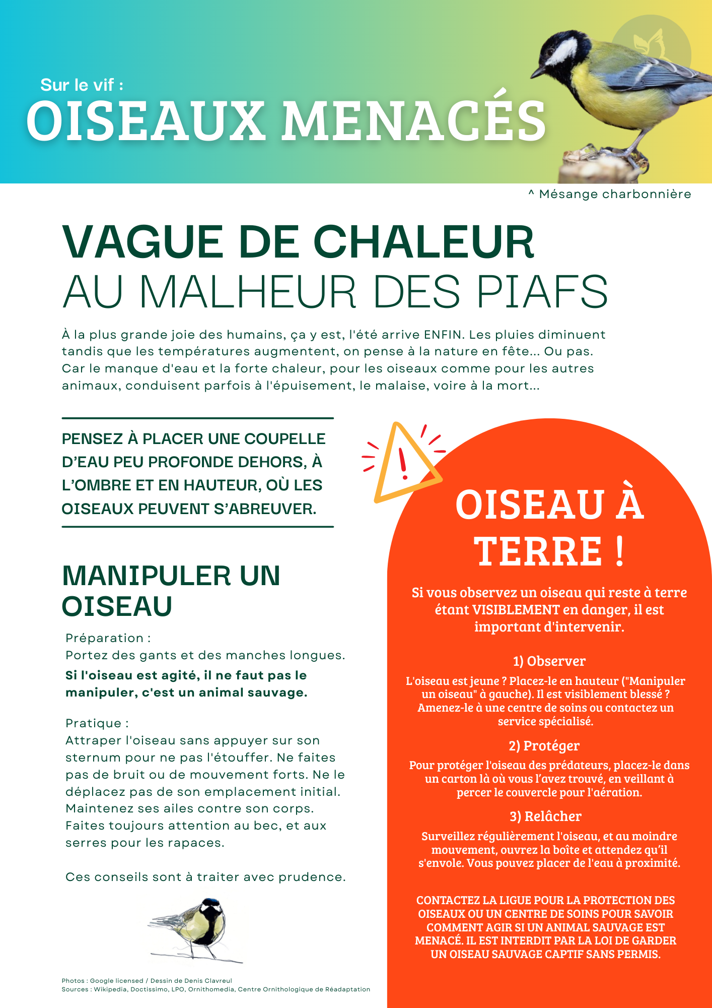 Sur le vif n°1