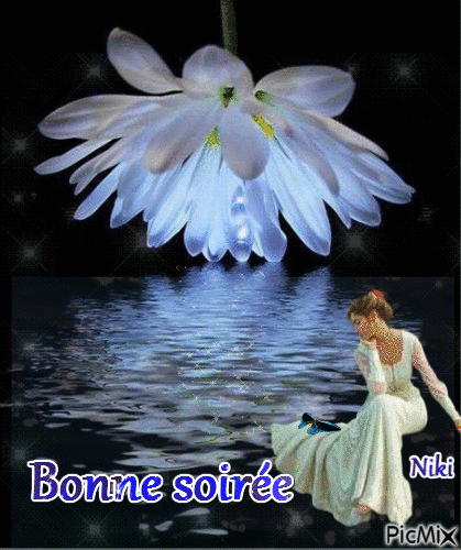 31- bonne soirée.gif