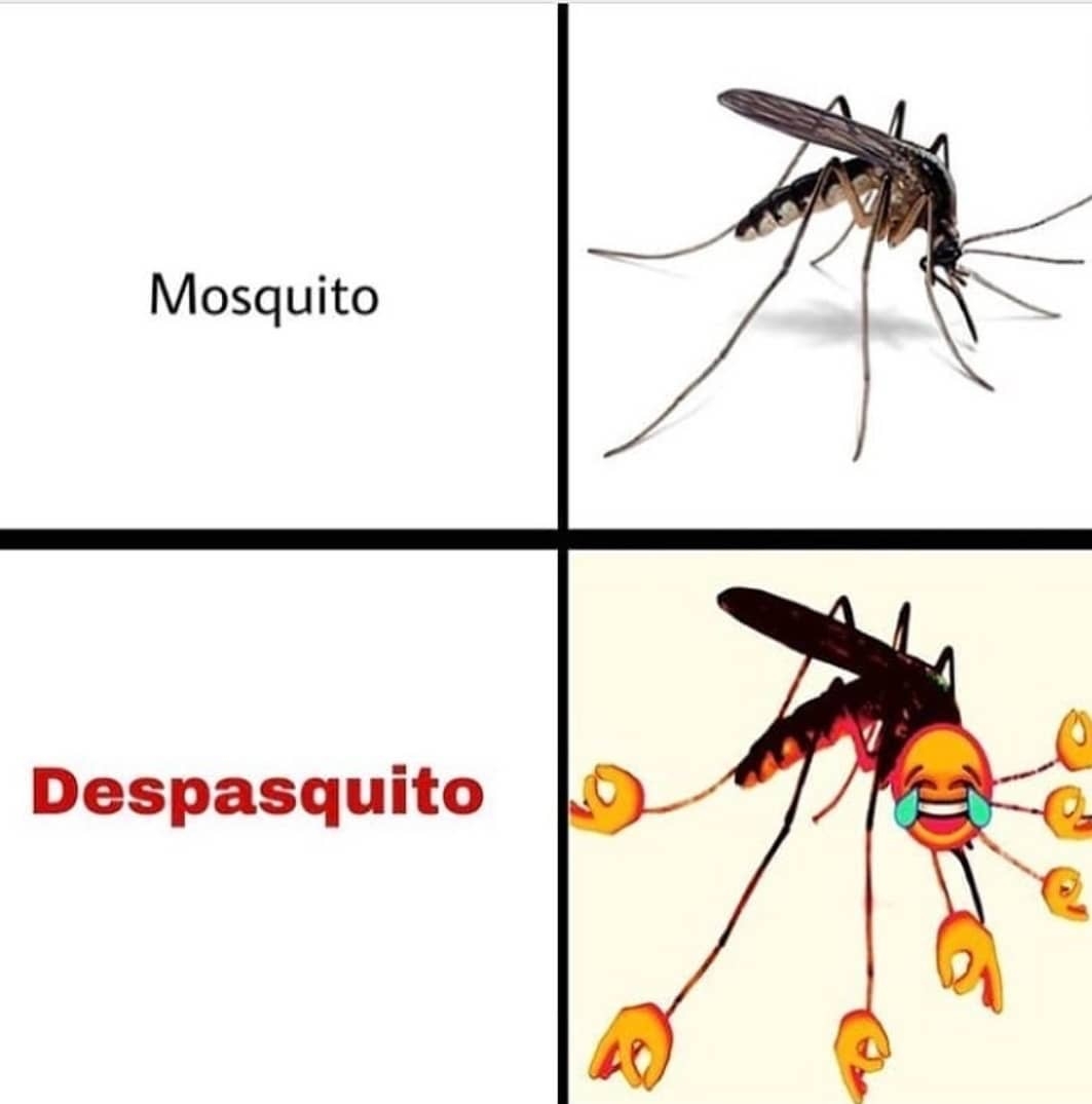 1530391957410872471.jpg